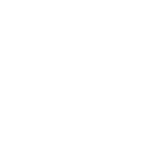 Parlari Group